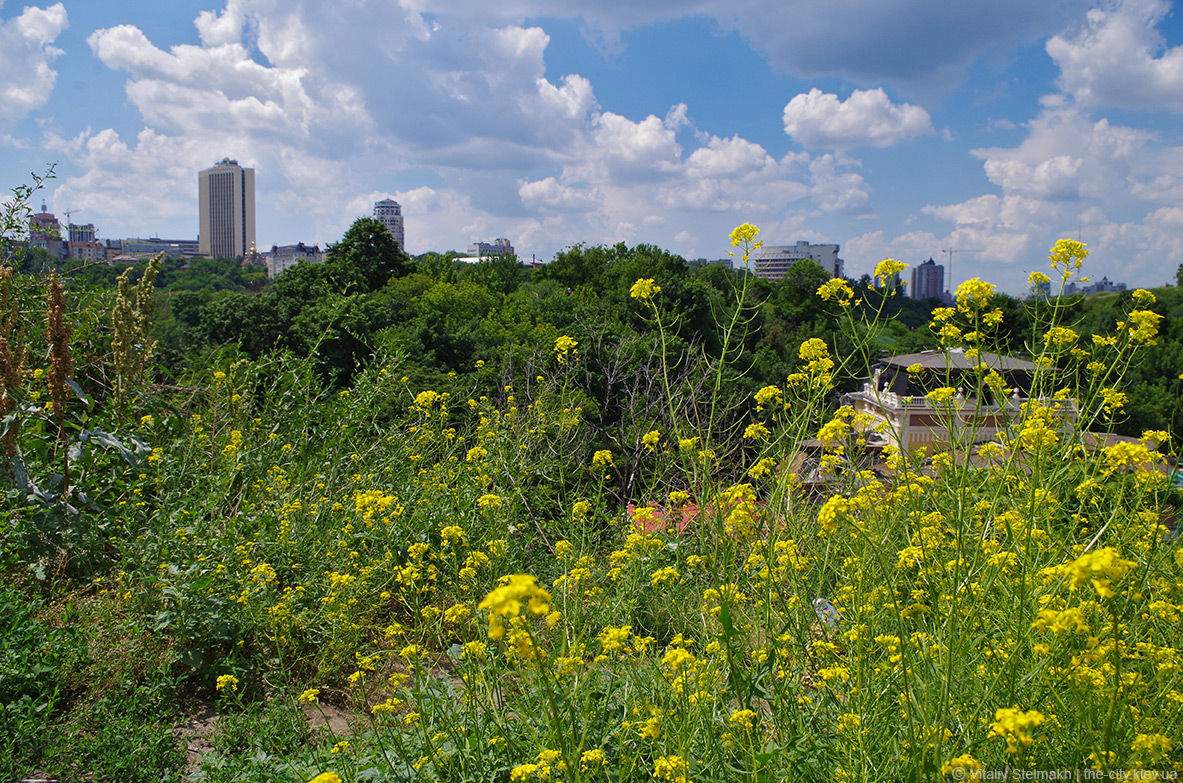 Гора Уздыхальница
