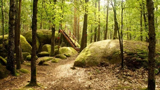 Автобусная экскурсия 