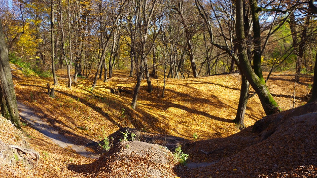 Екскурсійна прогулянка 