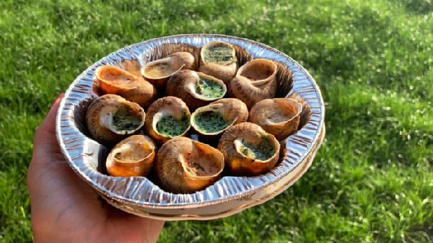 Автобусная экскурсия 