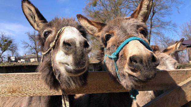 Автобусная экскурсия 