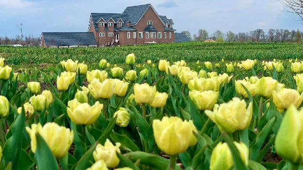 Автобусная экскурсия 