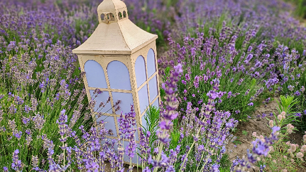 Автобусная экскурсия 