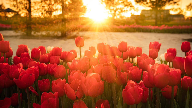 Автобусная экскурсия 