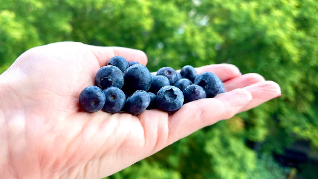 Автобусная экскурсия 