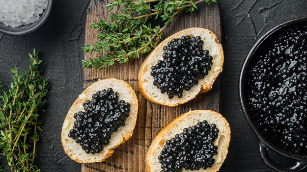 Автобусная экскурсия на Осетровую ферму