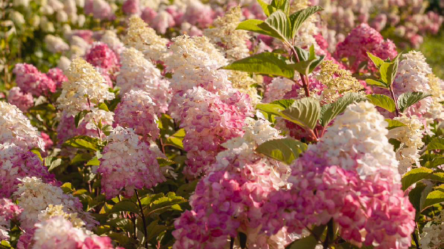 Автобусная экскурсия 