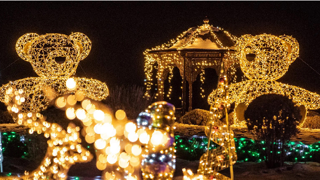 Автобусная экскурсия 