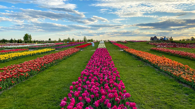 Автобусная экскурсия 