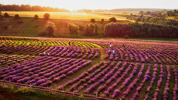 Автобусная экскурсия 