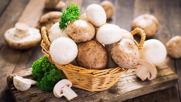 Автобусная экскурсия 