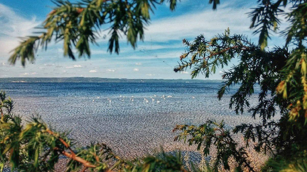 Автобусная экскурсия 