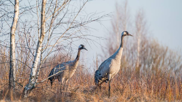Автобусная экскурсия 