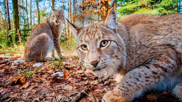 Автобусная экскурсия 