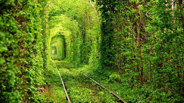 Автобусная экскурсия 