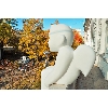 Ангел доброты (фото 1)