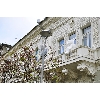 Ангел доброты (фото 5)